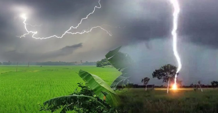 বজ্রপাতে দেশের ৬ জেলায় ৮ জনের মৃত্যু