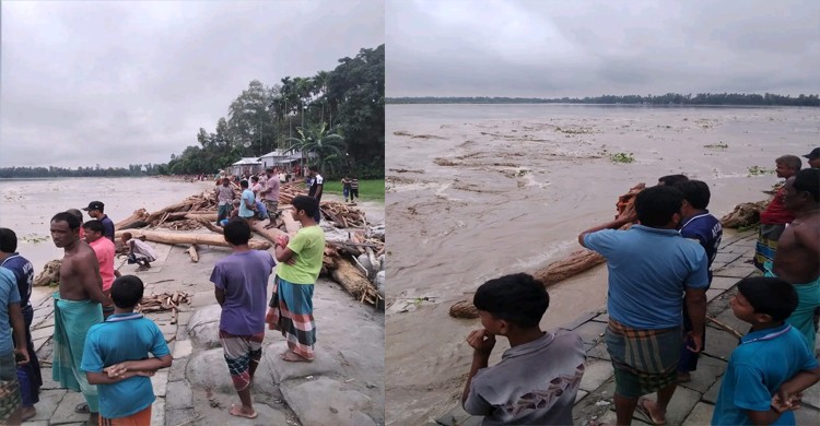 ভারত থেকে পানিতে ভেসে আসা গাছ ধরতে গিয়ে কুড়িগ্রামে নিখোঁজ ১
