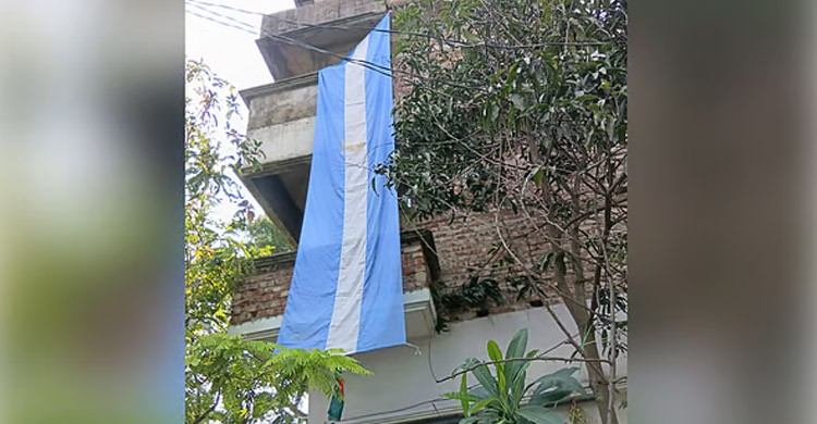বাড়ির ছাদে আর্জেন্টিনার পতাকা লাগাতে গিয়ে মৌমাছির কামড়ে সমর্থক আহত